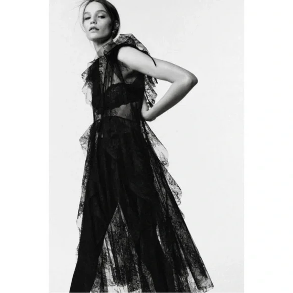 ZARA STUDIO LIMITED EDITION LACE MIDI DRESS - Picture 6 of 16